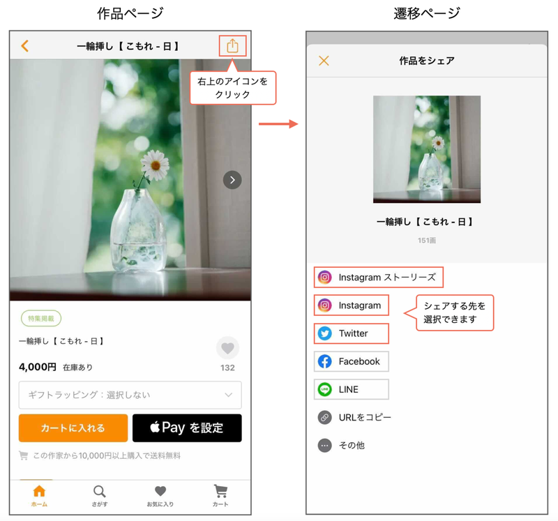 9.webp
